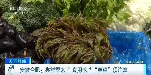 0元公斤上架就被抢光！食用千万注意麻将胡了2游戏入口已抵达浙江！24(图5)