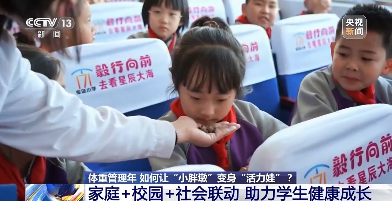 ” 各地中小学解锁定制版“活力养成手册”PG电子麻将胡了模拟器为小胖墩“开处方(图1)